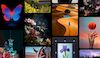 Adobe_Generative_Credits_box - Ohjelmistot.fi Collage of small vibrant photos: a blue butterfly, flowers, sunset, and other colorful scenes.