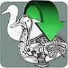 Automatic-Duck-media-copy - Ohjelmistot.fi App icon featuring a dinosaur skeleton inside a rounded square with a green looping arrow.