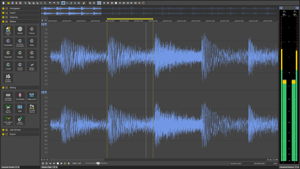 Screenshot of an audio editing workspace showing two stereo tracks with blue waveforms, a timeline ruler, and a left panel of audio effects and tools.